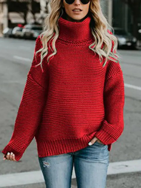 Enze Knitted Turtleneck Sweater