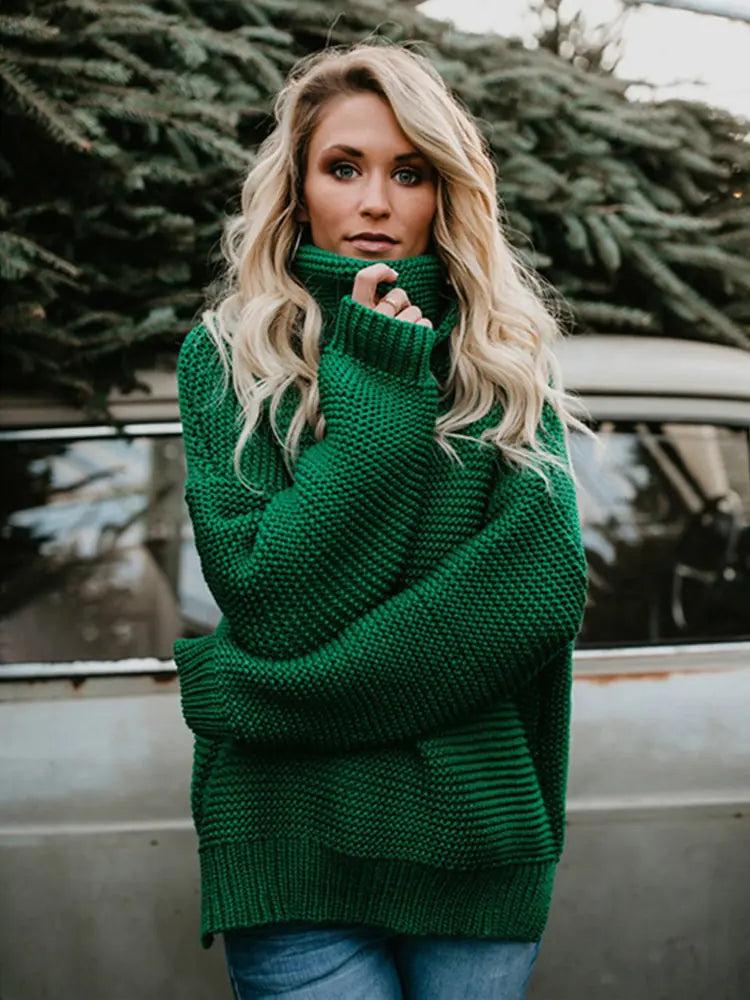 Enze Knitted Turtleneck Sweater